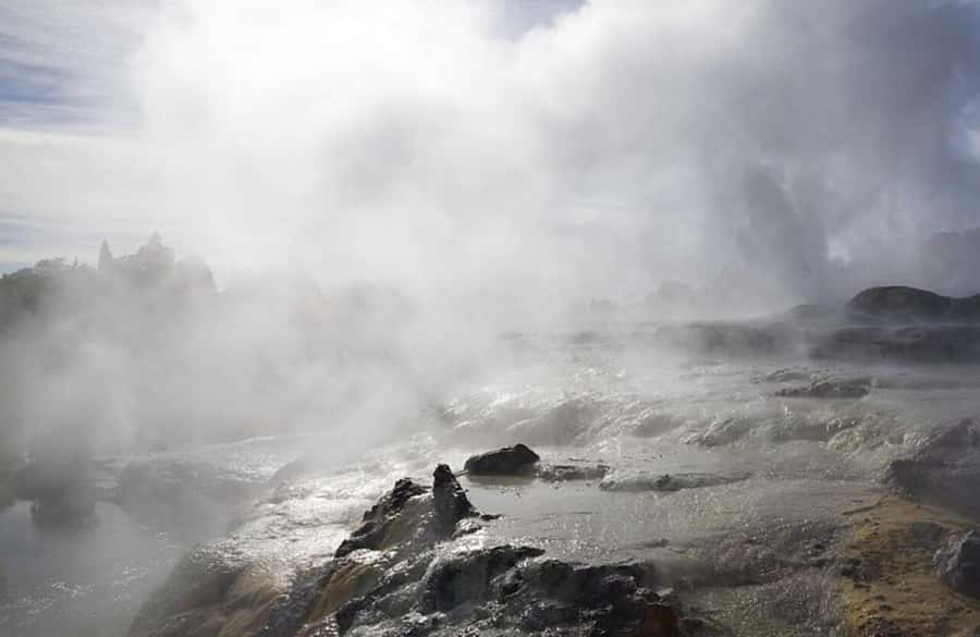 From Auckland: Rotorua Māori Village & Hot Springs with Haka - Who should book this Rotorua day trip?