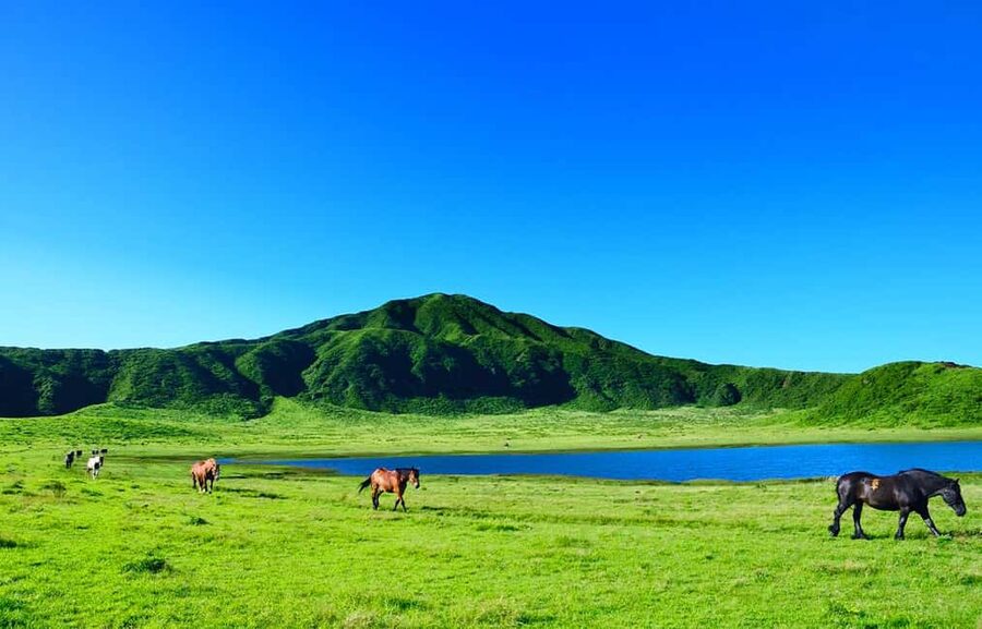 From Fukuoka: Mount Aso, Kurokawa Onsen, and Shrine Tour - What the 8 a.m. start actually means