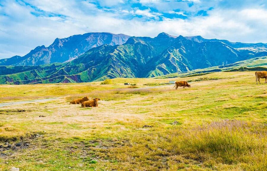 From Fukuoka: Mount Aso, Kurokawa Onsen, and Shrine Tour - Should you book the Mount Aso and Kurokawa day trip?