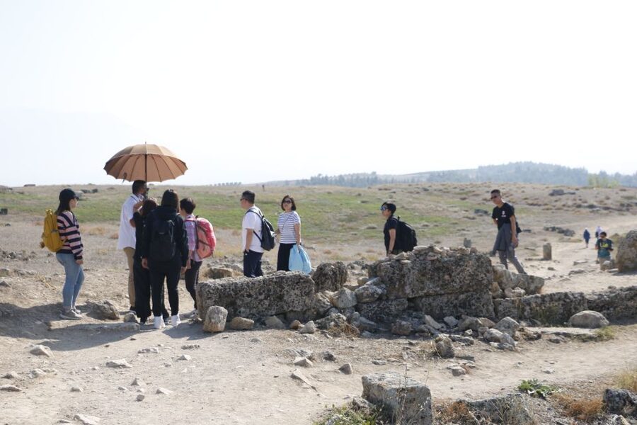 From Istanbul: Ephesus and Pamukkale 2-Day Trip - Day 1: flying to Izmir and reaching Ephesus