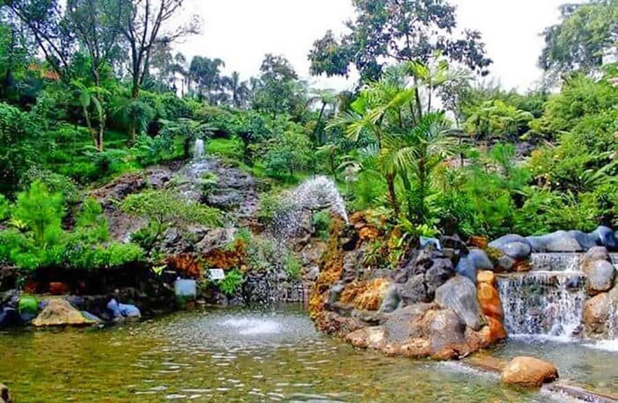 From Jakarta : Volcano, Tea & Rice Fields, Hot Spring - Rice fields and village life between stops