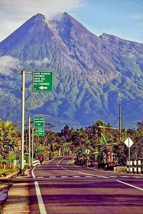 From Jakarta : Volcano, Tea & Rice Fields, Hot Spring - Tea fields in an active volcanic area