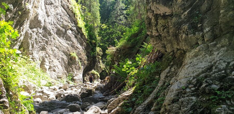 From Krakow: Hiking in the Tatra Mountains and Thermal baths - Who should book this experience
