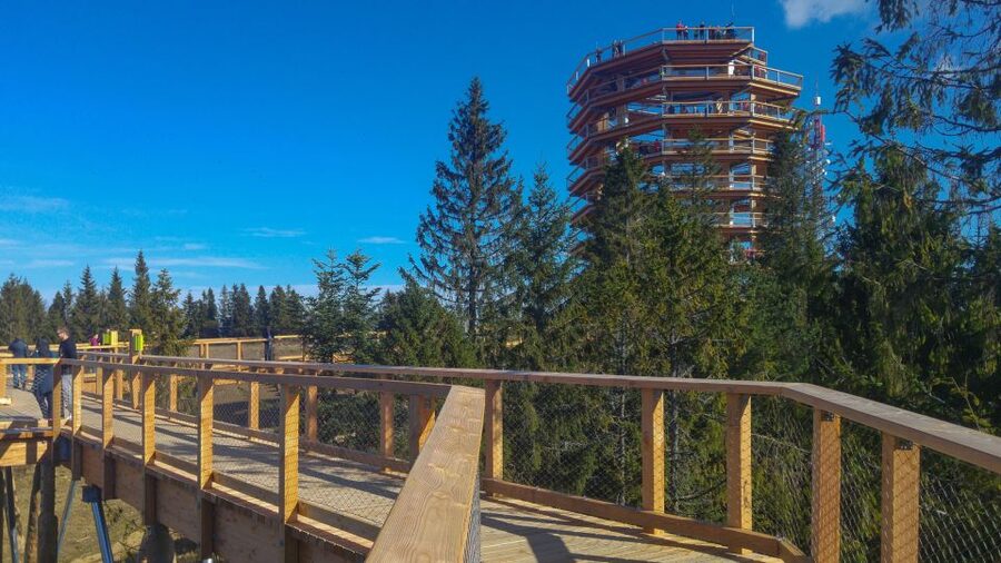 From Krakow: Slovakia Treetop Walk, Zakopane & Thermal Spa - Bachledka puts you above the Pieniny forest