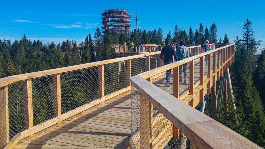 From Krakow: Slovakia Treetop Walk, Zakopane & Thermal Spa - Five and a half hours on the road requires a clear plan