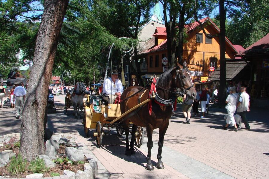 From Krakow: Slovakia Treetop Walk, Zakopane & Thermal Spa - Zakopane offers two hours of highland character