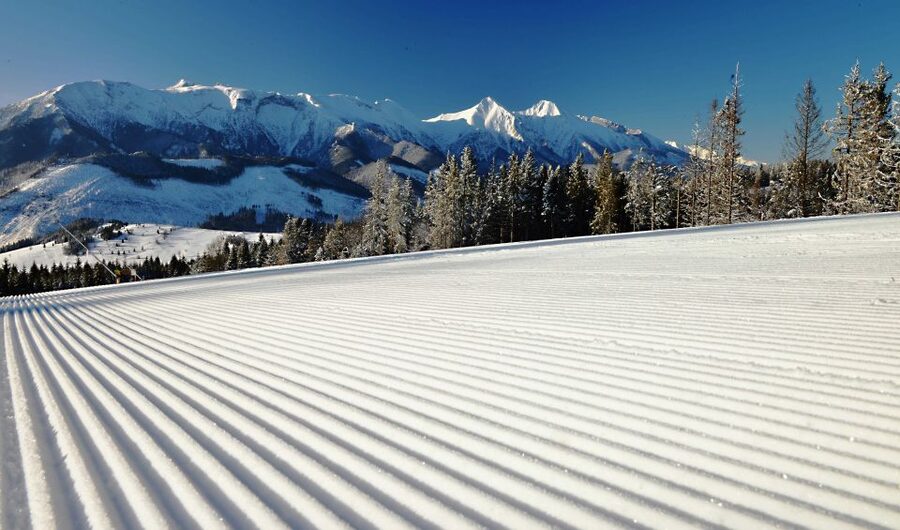 From Kraków: Tatra Mountans Ski Trip and Thermal Baths Visit - Who Will Enjoy This Day Most?