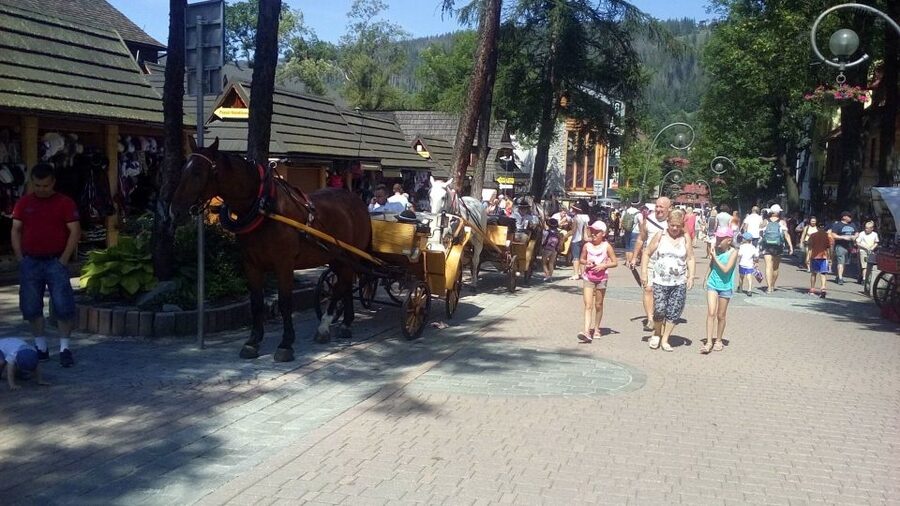 From Krakow: Zakopane & Hot Thermal Springs Private Tour - Chochołowska Thermal Baths after a full day out