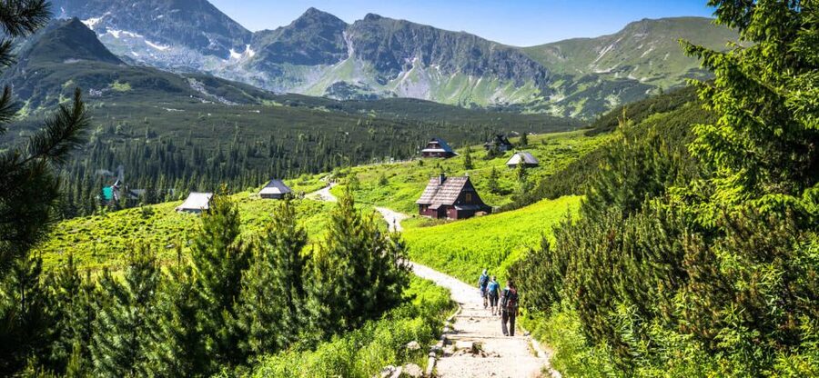 From Krakow: Zakopane & Hot Thermal Springs Private Tour - What to eat and what to budget