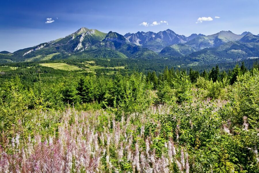From Krakow: Zakopane Tatra Mountains & Hot Springs Tour - Riding the Gubałówka funicular for mountain views