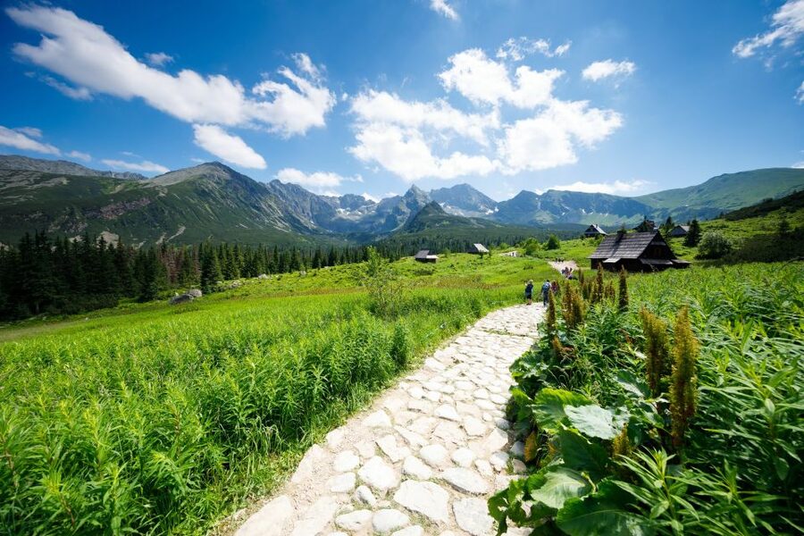 From Krakow: Zakopane Tatra Mountains & Hot Springs Tour - Who gets the best value from the $97 price?