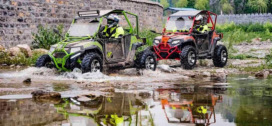 From Lamezia Terme: Buggy Tour - Driving the forest trails and old mule paths