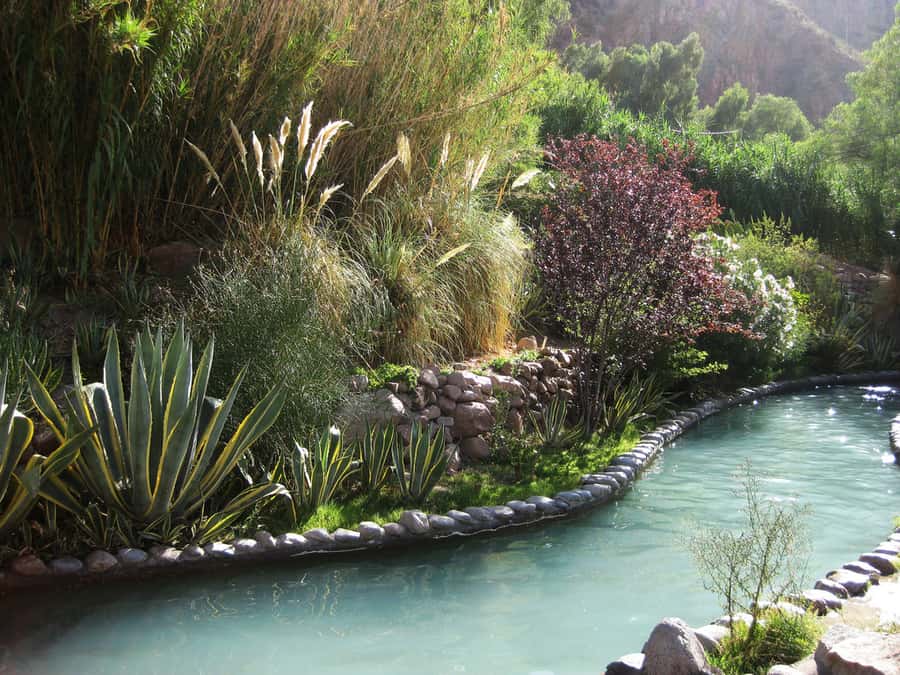 From Mendoza: Premium Spa Day at the Cacheuta Hot Springs - The buffet lunch is a major part of the value
