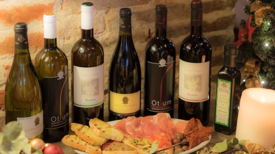 From Montecatini Terme: Wine Experience in Tuscan Farm - A short walk through vineyards and olive groves