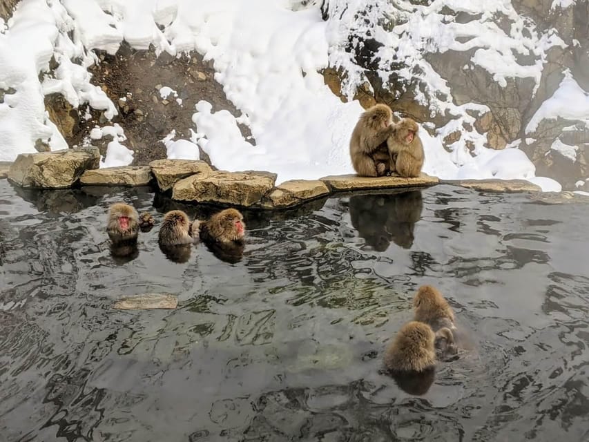 From Nozawa Onsen: Snow Monkeys and Zenko-ji Day Trip & Sake - Winter clothing and walking advice