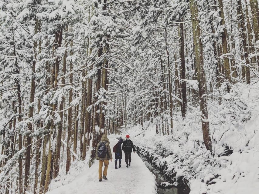 From Nozawa Onsen: Snow Monkeys and Zenko-ji Day Trip & Sake - The 70-minute ride from Nozawa Onsen