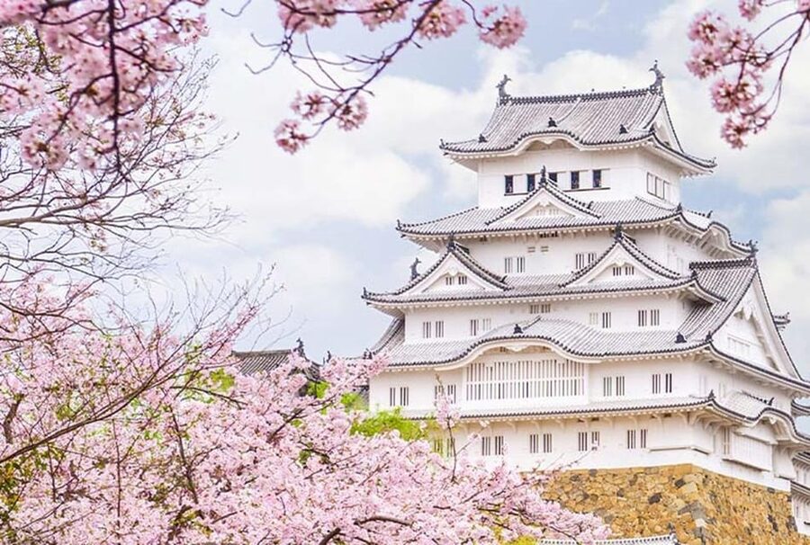 From Osaka: Himeji Castle, Arima Onsen & Mt. Rokko Day Tour - Why this Osaka day trip works