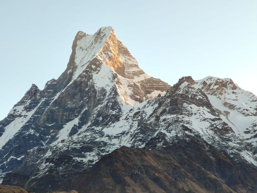 From Pokhara: 5-Day Annapurna Basecamp Trek with Hot Springs - Day four: the long return to Bamboo