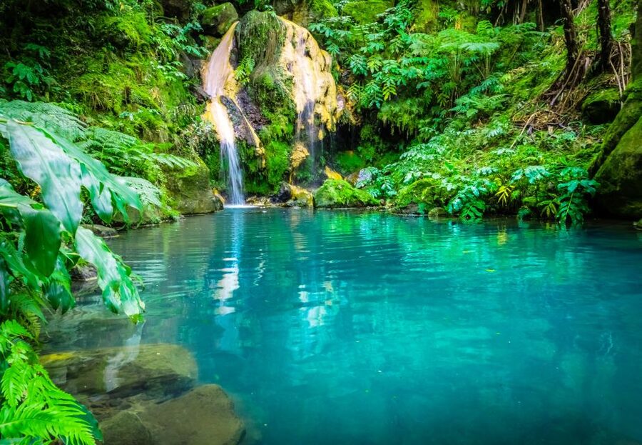From Ponta Delgada: Lagoa do Fogo & Hot Springs Day Trip - Who should book this São Miguel day trip?