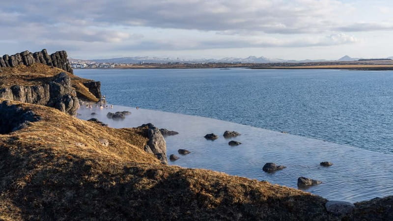 From Reykjavik: South Coast & Sky Lagoon Small-Group Tour - Sólheimajökull brings you close to moving ice