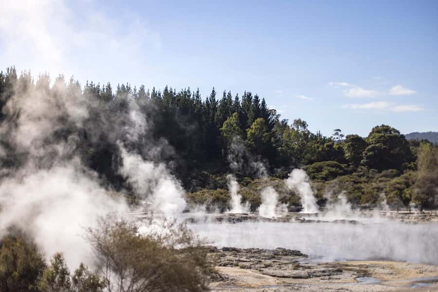 From Rotorua: HELL's GATE Geothermal MUD BATH Half Day Tour - Who should book this Hell’s Gate outing?