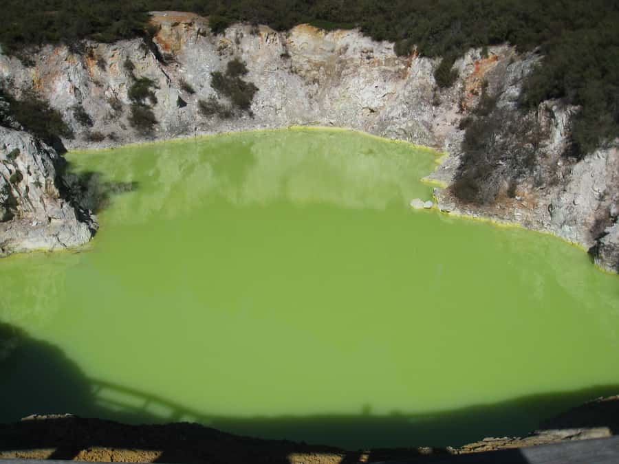 From Rotorua: Wai O Tapu & Waimangu Eco Thermal Morning Tour - Key points to know before booking