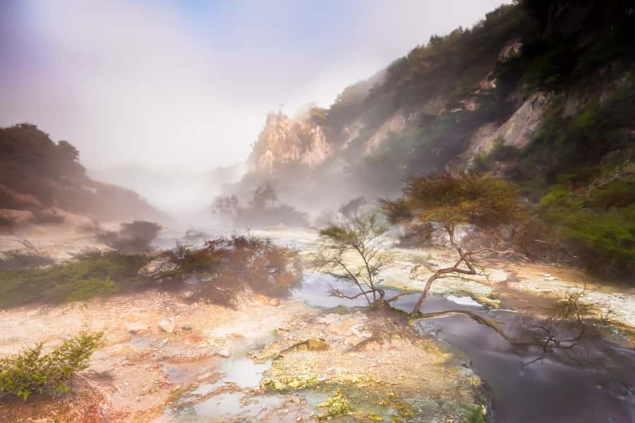 From Rotorua: Wai O Tapu & Waimangu Eco Thermal Morning Tour - Lady Knox Geyser at 10:15 AM