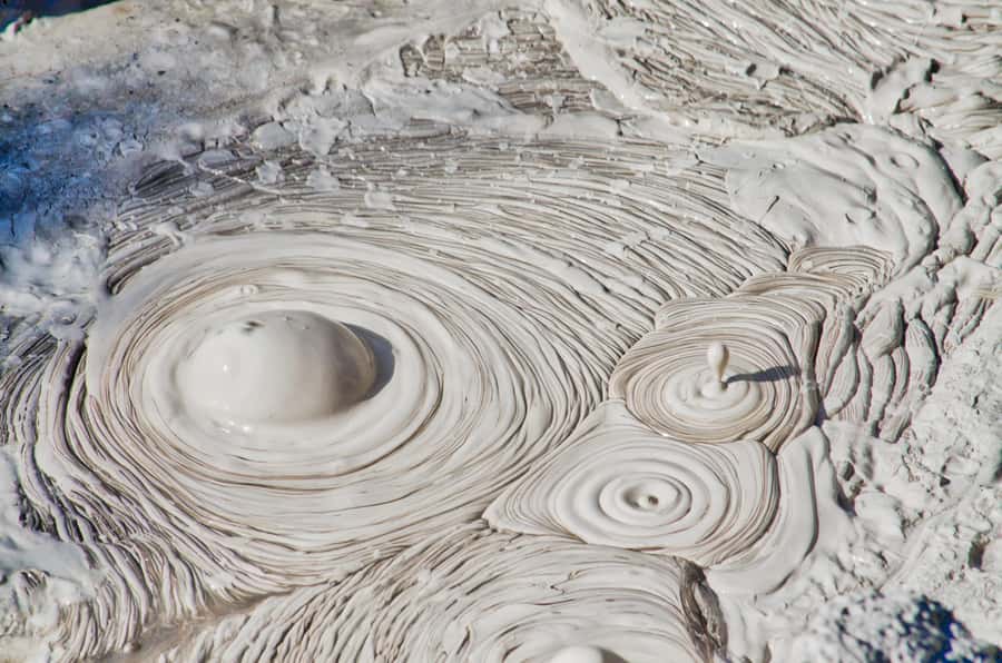 From Rotorua: Wai O Tapu & Waimangu Eco Thermal Morning Tour - What the guiding adds
