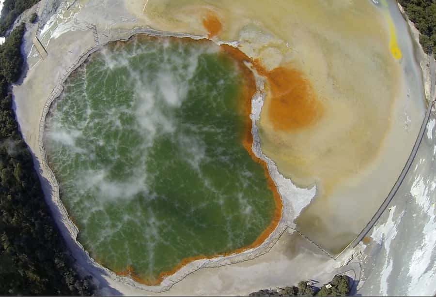 From Rotorua: Wai O Tapu & Waimangu Eco Thermal Morning Tour - Who should book this experience?