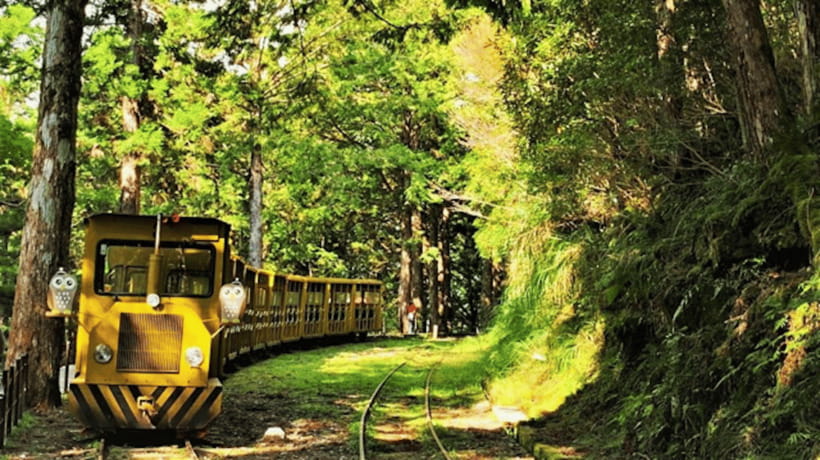 From Taipei: Taipingshan & Jiuzhize Hot Spring Private Tour - Food, timing, and what to pack