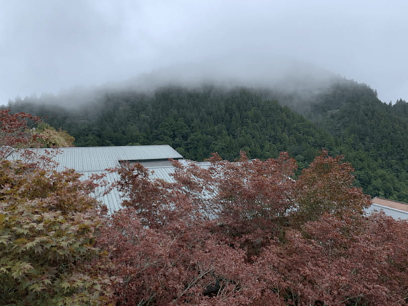 From Taipei: Taipingshan & Jiuzhize Hot Spring Private Tour - The mountain road to Taipingshan