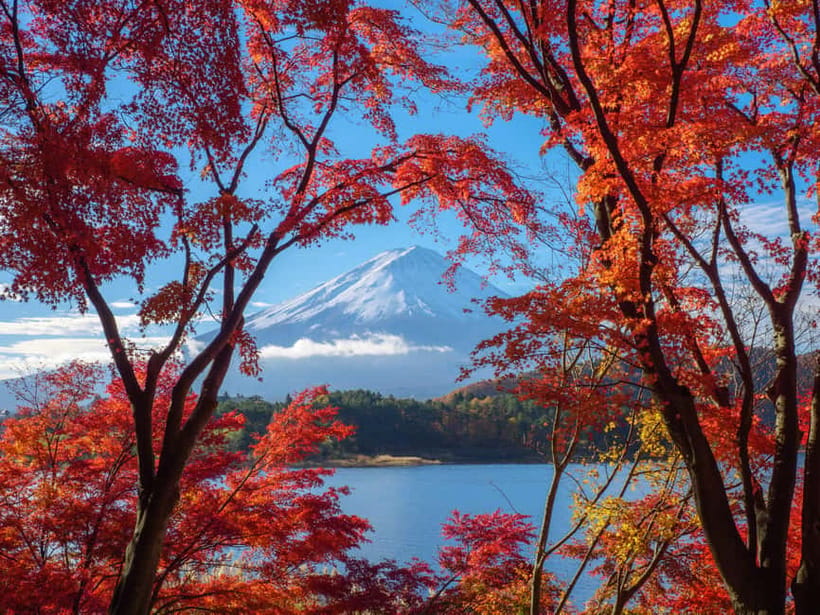 From Tokyo: Private Tour to Fuji/Hakone - Onsen, Art, Nature - Lake Ashi and Hakone Shrine
