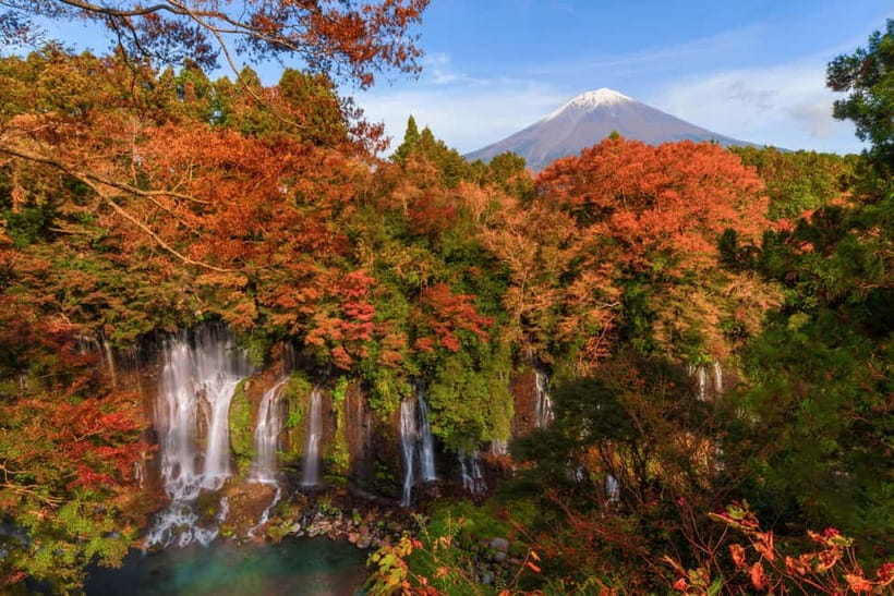 From Tokyo: Private Tour to Fuji/Hakone - Onsen, Art, Nature - Weather, timing, and small details that matter