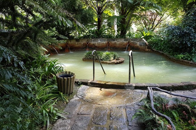 Full-Day Furnas Tour: Hot Springs, Traditional Lunch & Tea - Terra Nostra is the day’s best chance to slow down