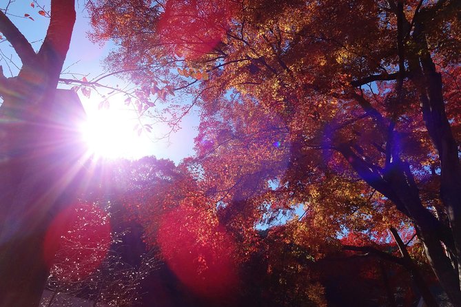 Full Day Hiking Tour at Mt.Takao including Hot Spring - Meeting at Takaosanguchi Station