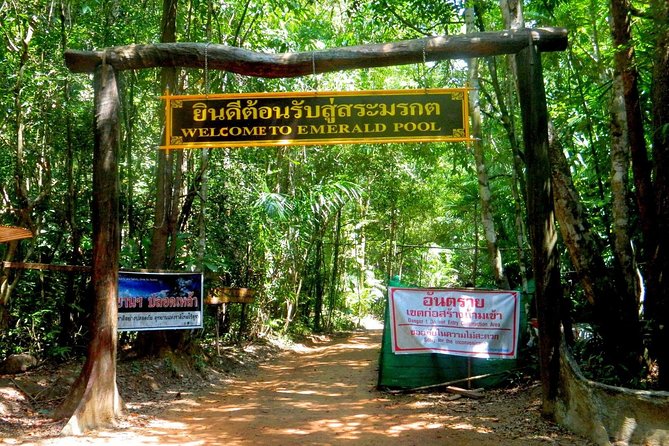 Full-Day Jungle Tour Including Tiger Cave Temple, Crystal Pool and Krabi Hot Springs - Thai lunch between the pools and the temple