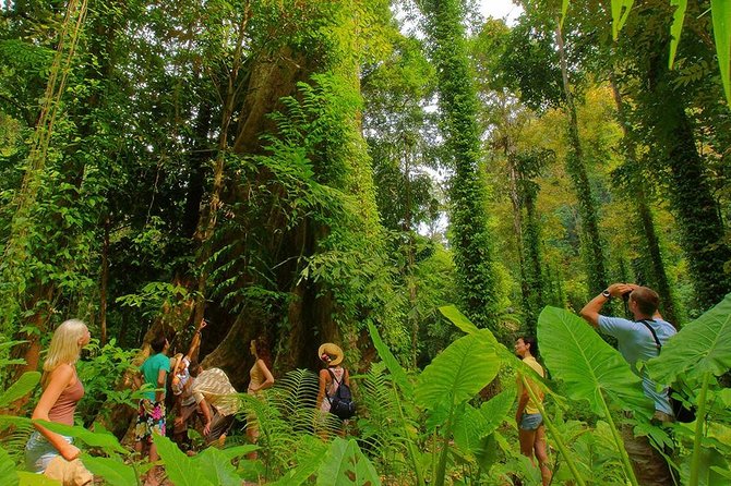 Full-Day Jungle Tour Including Tiger Cave Temple, Crystal Pool and Krabi Hot Springs - How much driving and waiting to expect