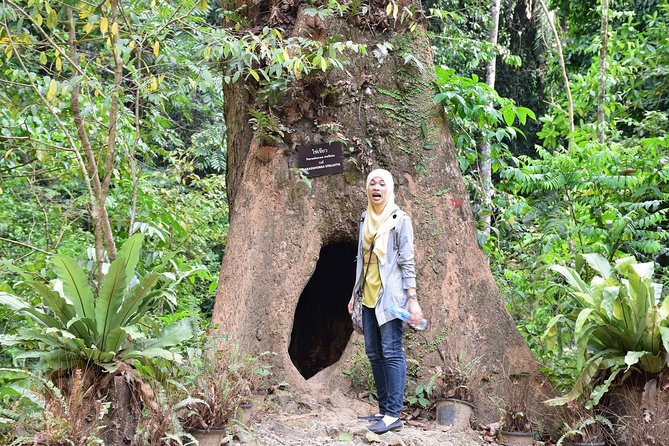 Full-Day Jungle Tour Including Tiger Cave Temple, Crystal Pool and Krabi Hot Springs - Best preparation for heat, water, and steep steps
