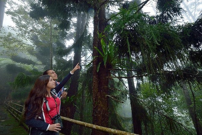 Full-Day Kinabalu Park and Poring Hot Spring Day Trip - Kinabalu Park, Sabah’s great plant collection