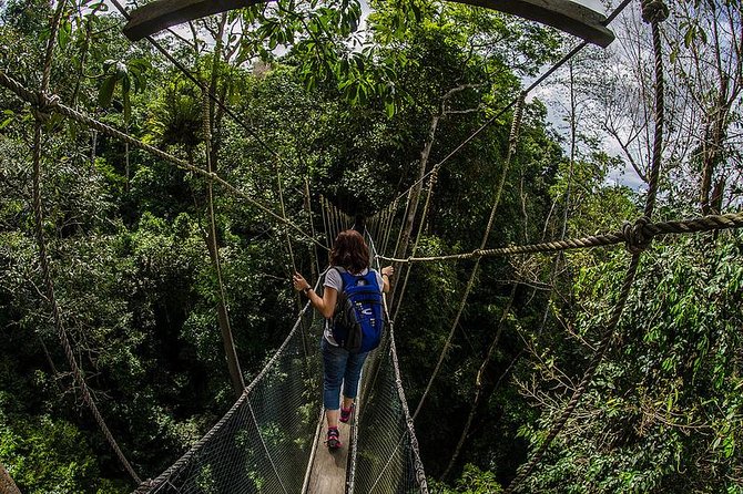 Full-Day Kinabalu Park and Poring Hot Spring Day Trip - Poring Hot Springs and the climb to the canopy bridges