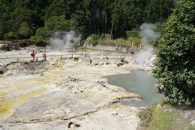 Full-Day Private São Miguel Tour with Furnas and Hot springs - Terra Nostra Park and the 35 to 40°C pool