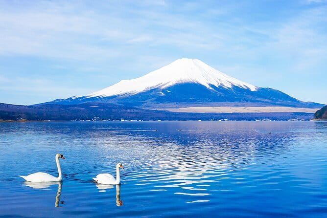 Full Day Tour at Mt. Fuji, Onsen, Lake Kawaguchi and Yamanaka - A practical Mt. Fuji day from Tokyo