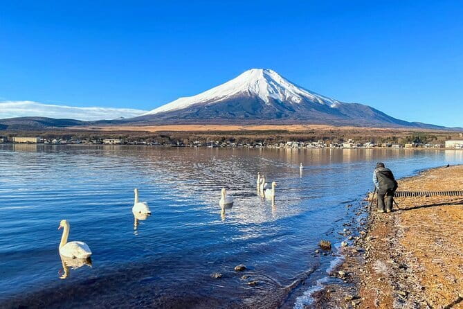 Full Day Tour at Mt. Fuji, Onsen, Lake Kawaguchi and Yamanaka - Shared vehicles, comfort, and group size