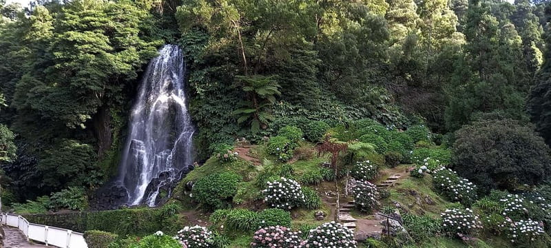 Furnas: Hot Springs, Crater Lake & Geothermal Wonders - Gorreana Tea Plantation and a real tea tasting