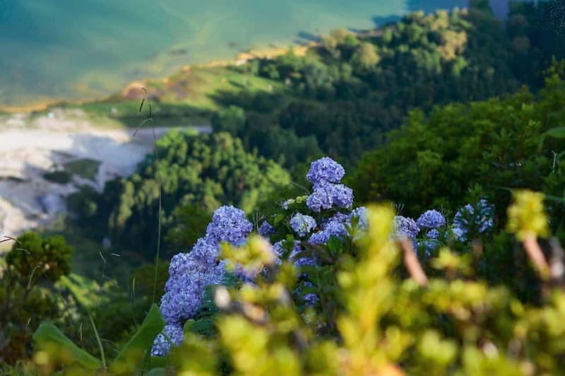 Furnas: Hot Springs, Crater Lake & Geothermal Wonders - From Ponta Delgada to the Santa Iria lookout