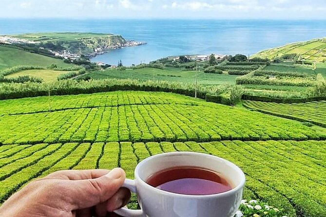 Furnas in a Private Evening - Tea, Cozido Dinner and Hot Springs - See dinner cooking beside Furnas Lake