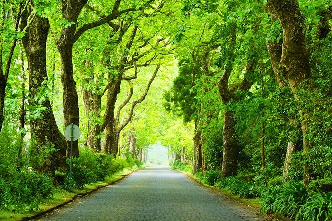 Furnas: Mystic Tour (w/Dinner) - Hot Springs - Key things to know before booking