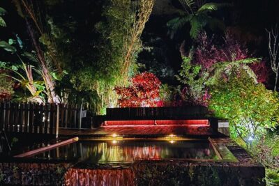 Mystic Tour (w/Dinner) – Hot Springs