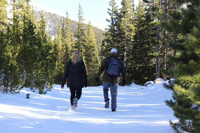 Glacier Hiking & Geothermal Cave Pools Tour - Should you book the Glacier Hiking and Geothermal Cave Pools Tour?