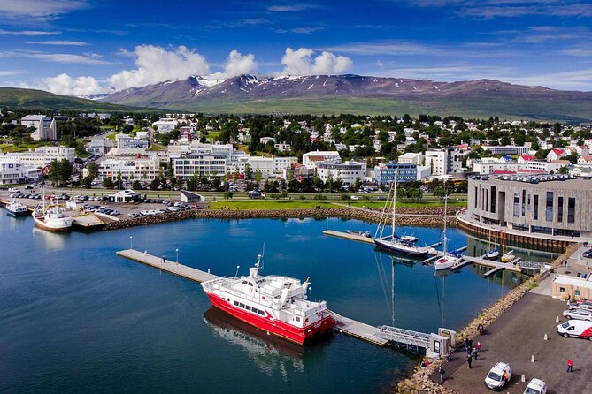 Goðafoss Waterfall & Forest Lagoon from Akureyri Port - Grenjaðarstaður and the old turf farmhouse